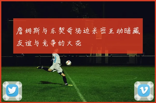 詹姆斯与东契奇场边亲密互动暗藏友谊与竞争的火花