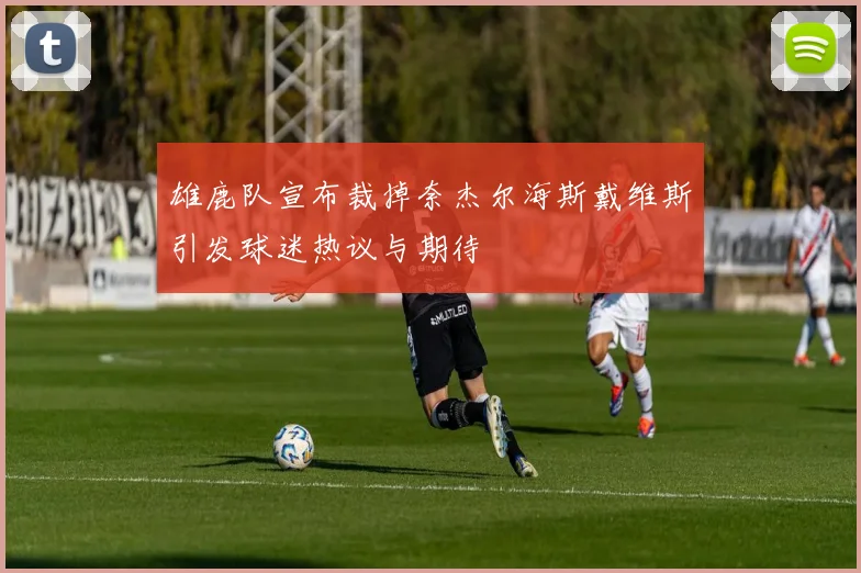 雄鹿队宣布裁掉奈杰尔海斯戴维斯引发球迷热议与期待