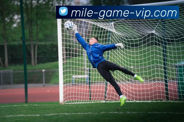 米乐游戏平台生态图